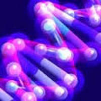 Forensic Healing