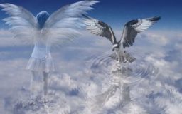 Spirit Guides